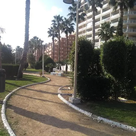 Primera Linea Planta 10