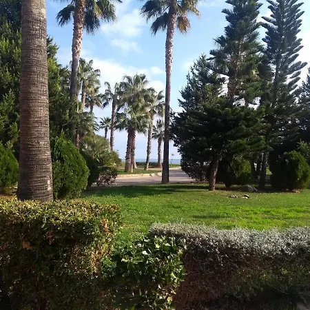 Primera Linea Planta 10 *